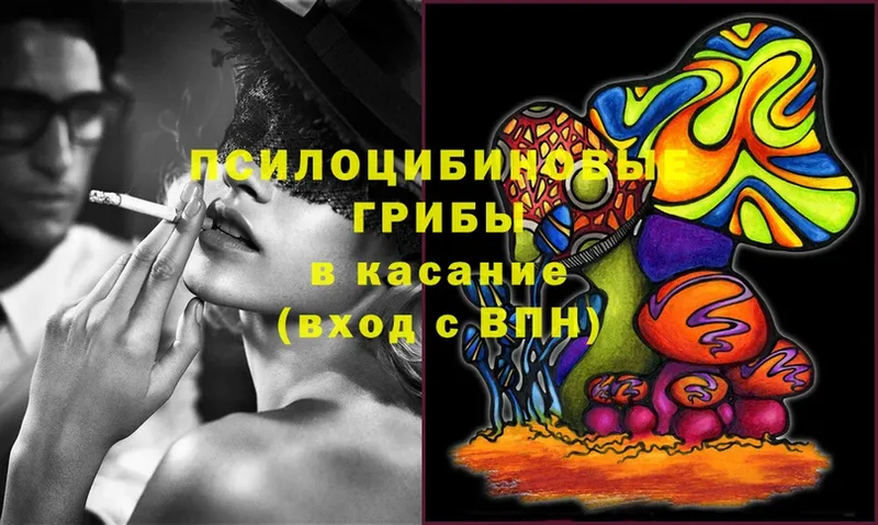 Галлюциногенные грибы Psilocybe  купить   Княгинино 